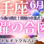 【射手座】『辛口あり』我慢の卒業式‼️泣けるほどの変容が、ここに😭✨ 6月運勢  タロット占い