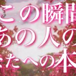【恋愛】今この瞬間!! あの人の、あなたへの本音🫢💘✨タロットリーディング