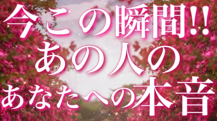 【恋愛】今この瞬間!! あの人の、あなたへの本音🫢💘✨タロットリーディング
