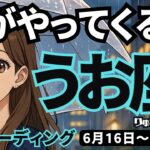 【魚座】♓️2025年6月16日の週♓️愛がやってくる時。自分に厳しくて他人に優しい私だから。うお座。タロットリーディング