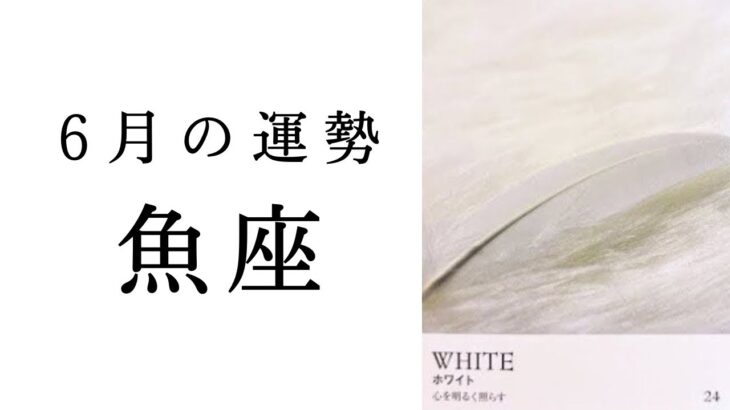 【魚座🌷6月の運勢】明らかにこれまでのうお座さんと違う😳✨実はもう既に大変革の流れきてます🌞2025年タロット占い