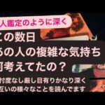 ✨この数日・あの人の複雑な気持ち〜何考えてたの？🔸忖度なし厳し目有り🔹かなり深くお互いの様々なことを深く読んでます🙇‍♀️