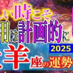 ★忖度なし★白珠イチゴが占う2025年夏至〜秋分の運勢★牡羊座★