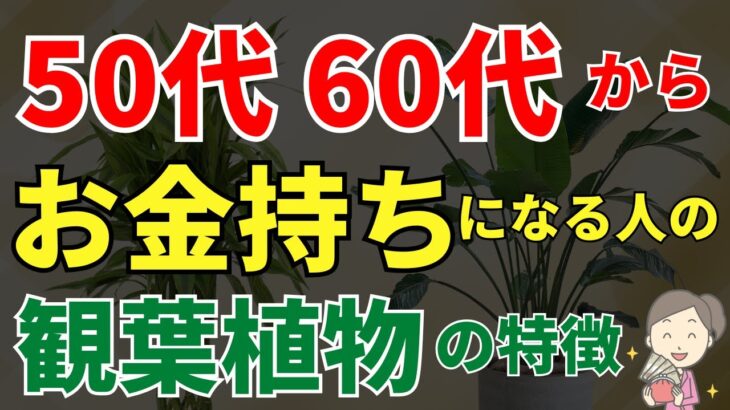 50代、60代から金運覚醒の観葉植物【風水アドバイザーがご紹介】