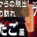 【♊双子座】逆境からの脱出！変化の訪れ！2025年 7月の運勢【タロットカード、オラクルカード】
