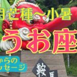 【育みと成長の夏‼️駆け巡る大転換期✨✨✨】うお座さん♓️恵みの芒種から節目の夏至を経て小暑まで🍀五龍神からの開運メッセージ🍀