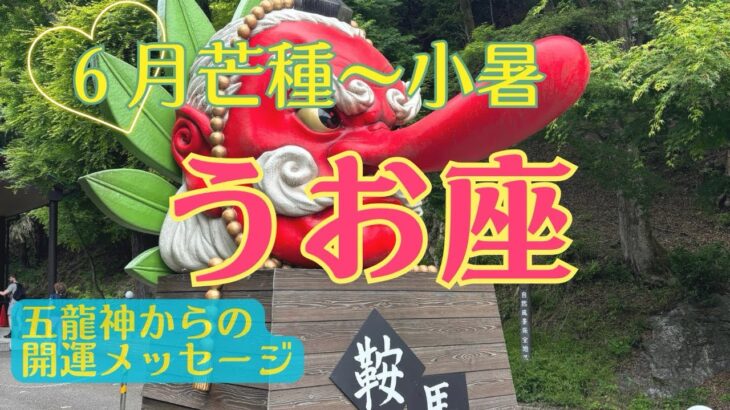 【育みと成長の夏‼️駆け巡る大転換期✨✨✨】うお座さん♓️恵みの芒種から節目の夏至を経て小暑まで🍀五龍神からの開運メッセージ🍀