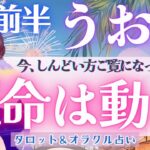 【魚座】今、しんどい方へ 全体運、超神回!!! 魚座さんの想いは成就する🕊️【仕事運/対人運/家庭運/恋愛運/全体運】 8月運勢  タロット占い