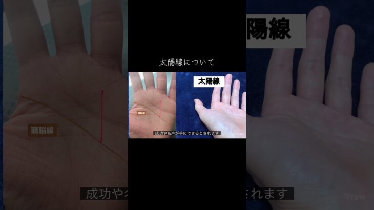 太陽線、これだけ抑えて！ #占い #手相 #手相鑑定 #手相占い