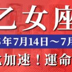 乙女座 【 おとめ座 ♍ 】週間リーディング( 2025年 7月14日の週) 運命がひっくり返る！才能が花開く奇跡週✨🔑 乙女座 2025年7月 タロット占い
