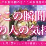 【最新✨恋愛💖】今この瞬間のあの人のあなた様へのお気持ち🔮🦋的中率が高いと言われるルノルマンカードにタロットも併用し鑑定します✨