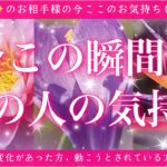 【最新✨恋愛💖】今この瞬間のあの人のあなた様へのお気持ち🔮🦋的中率が高いと言われるルノルマンカードにタロットも併用し鑑定します✨