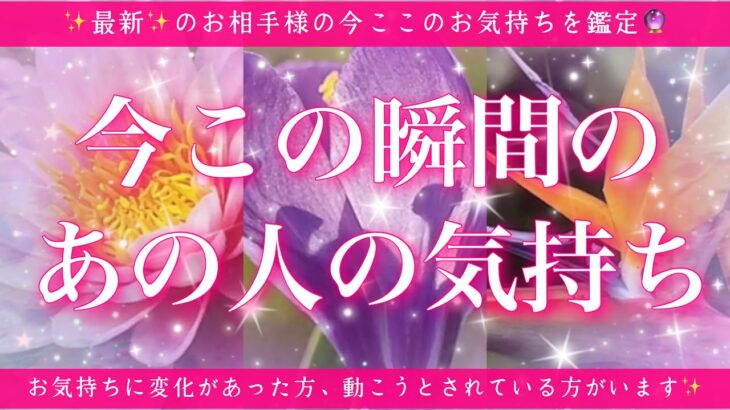 【最新✨恋愛💖】今この瞬間のあの人のあなた様へのお気持ち🔮🦋的中率が高いと言われるルノルマンカードにタロットも併用し鑑定します✨