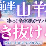 【山羊座】感涙!! 全体運、ヤバ過ぎる!!! 山羊座さん、まだまだ！これから新展開！来ます🎊✨《 8月運勢  タロット占い》