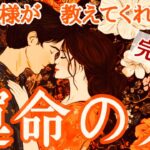 【あなたの守護様が語る】運命の相手の全貌☯️性格・イニシャル・星座・オーラカラーetc.🪽1111🪽