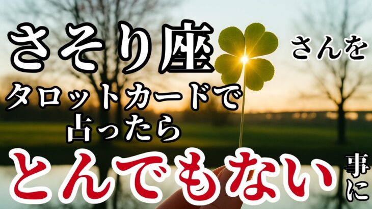 さそり座♏2025年8月✨️タロットが語った！私の手を震わせるほど強烈な展開が始まる！※表示されたら8秒以内に見て下さい【2025年運勢】 #蠍座 #金運 #占星術