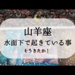 【山羊座】【準備完了】水面下ではすごいことになってます😮