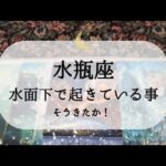 【水瓶座】【準備完了】水面下ではすごいことになってます😮