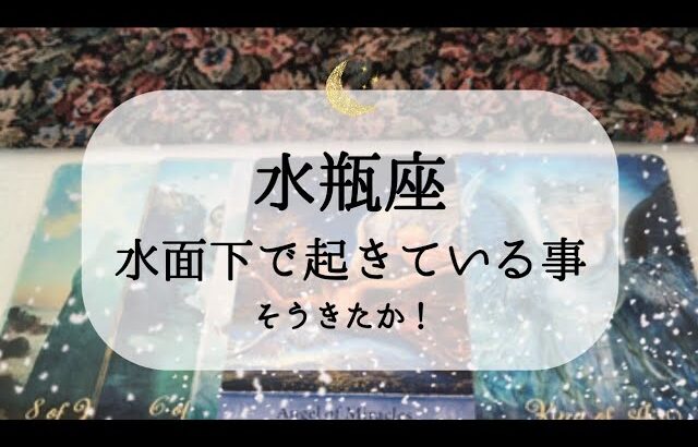 【水瓶座】【準備完了】水面下ではすごいことになってます😮