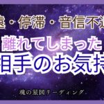 【タロット】疎遠、停滞、音信不通など離れてしまったあの人のあなたへのお気持ちや本音をみます🗝️💫ツインレイ、再会、覚醒、統合、タロット占い、恋愛のお悩み