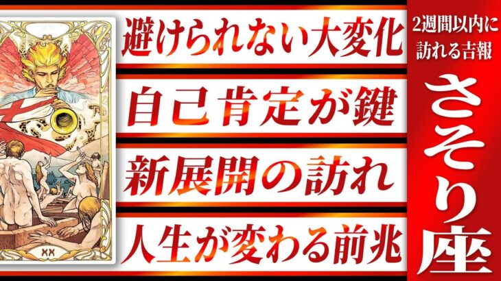 「絶対に見て」これは驚き… さそり座さん人生の変化の前兆。【運勢タロット占い】Akari先生