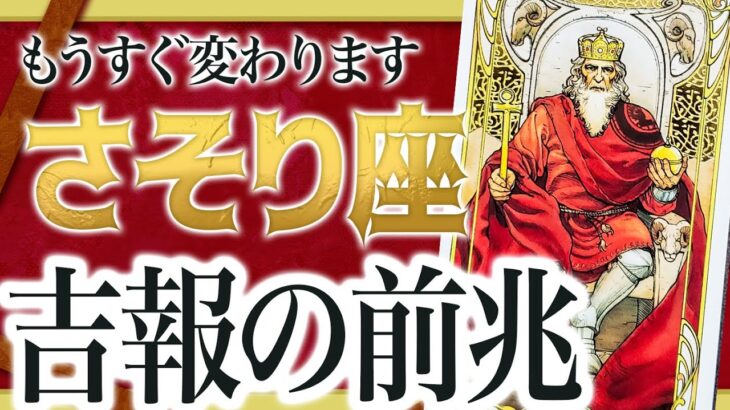 「絶対に見て」これは驚き… さそり座さん人生の変化の前兆。【運勢タロット占い】Akari先生