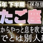 【2025 ふたご座】2025年下半期双子座の運勢　抜け殻からやっと息を吹き返す！今までとは別人級