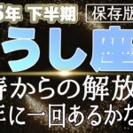 【2025 おうし座】2025年下半期牡牛座の運勢　怒涛からの解放！100年に一回あるかないか