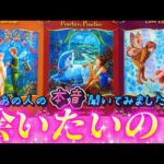 【超超超本音❤️】私に会いたいと思ってる⁉️あの人の本音💗聞いてみました　あなたへの正直な気持ち💌　個人鑑定級✨タロット