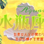 【7月後半✴︎水瓶座】自然体な自分を発揮できる🌈今、挑戦していく時🔥過去からのメッセージや救済が入る期間！きっかけは過去から◎【2025】