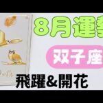 【双子座】8月の運勢🍀▼タロットカード&オラクルカード&ルノルマンカード占い