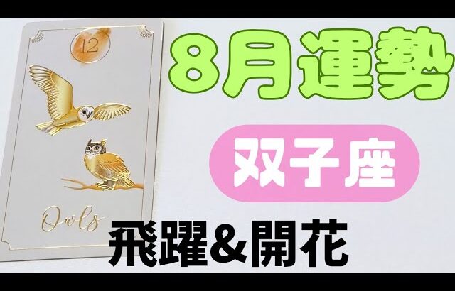 【双子座】8月の運勢🍀▼タロットカード&オラクルカード&ルノルマンカード占い