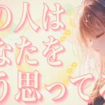 タロット占い恋愛【あなたに夢中でした💕】お相手はあなたをどう思ってる？🔮神展開🌸会話式