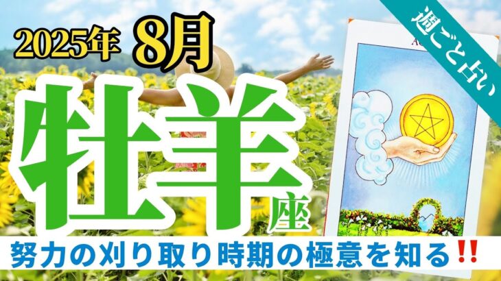 【牡羊座8月】努力の刈り取り時期の極意とは⁉️休暇をこんな風に活用してモチベーションを上げて❣️🔮🧚タロット&オラクル《週ごと》
