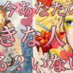 今あなた様のことが好きな人いる？いない？🤔❤️イエス、ノーはっきり出させていただきました✨今はいませんという選択肢あります⚠️恋愛タロット占い🔮