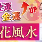 【中国伝統風水✖️紫微斗数】出会い・結婚・離婚まで思うがまま!?