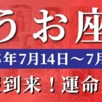 魚座 【 うお座 ♓ 】週間リーディング( 2025年 7月14日の週) 運命が動く！視点転換で奇跡の上昇週へ✨🔑 魚座 2025年7月 タロット占い