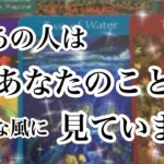 まさかの神回✨あの人から見たあなた。印象、想い、意図、未来のビジョン、、、根掘り葉掘り聞いてみました。あの人はあなたをこんな風に見ています【恋愛💖タロット】