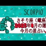 さそり座（蠍座)・2025年8月の運勢｜今月の星占い.