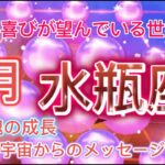 [水瓶座8月]♒️感謝と喜びが望んでいるタイムラインへ[宇宙からのメッセージ]Aquarius￼