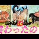 【⚠️深すぎ注意】このままサヨナラ？信じる？あの人との縁はもう終わったのかを視ます✨運命を感じるあの人の本音❤️は？復縁　連絡待ち　細密透視タロット　個人鑑定級✨