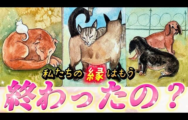 【⚠️深すぎ注意】このままサヨナラ？信じる？あの人との縁はもう終わったのかを視ます✨運命を感じるあの人の本音❤️は？復縁　連絡待ち　細密透視タロット　個人鑑定級✨