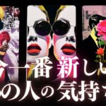 ➳❤︎恋愛タロット:: 今いちばん新しいあの人の気持ち、見つけました☽*̣̩ 獅子座新月にあの人は…🙀💕 あの人からのメッセージ＆今あなたに必要なアドバイス付 (2025/7/25)