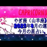 やぎ座（山羊座)・2025年8月の運勢｜今月の星占い.