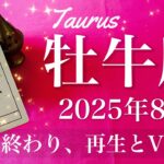 【おうし座】2025年8月♉️ おうし座さん…ものすごく逆転する！これまでの苦しさが嘘みたい、もうしんどいのは終わり
