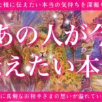 【恋愛💖】あの人が今あなた様に伝えたい本音🔮🦋タロットで深掘りします✨