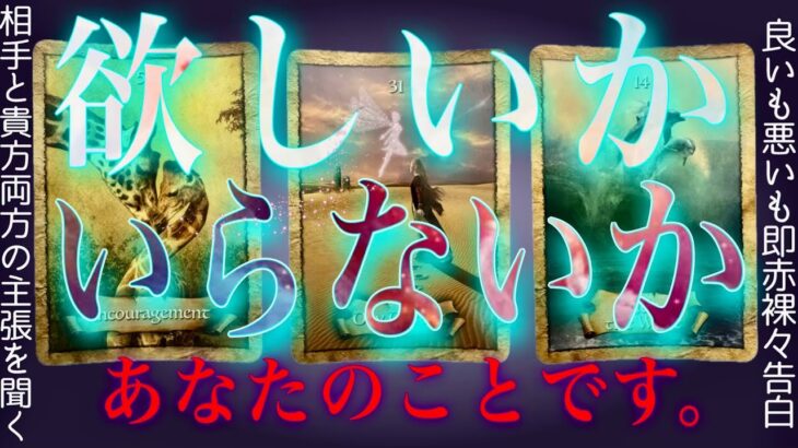 はっきりわかる❤️‍🔥あの人は欲しいのかいらないのか。素敵な気持ちも辛口もあり。霊視タロット✴︎オラクル✴︎復縁✴︎片思い✴︎交際中✴︎複雑恋愛