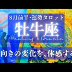 【牡牛座】8月前半／風向きが大きく変わる！今来てるのはもっと素敵な新しい風🌈✨🕊【タロット】【運勢】【占い】【おうし座】