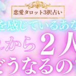 【恋愛タロット3択占い】疲れを感じているあなたへ_これから二人はどうなるの？_バランガン_いち木しま馬
