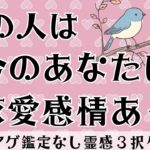 【見た時がタイミング🔔】相手は恋愛感情ある❓ツインレイ/ソウルメイト/運命の相手/複雑恋愛/曖昧な関係/復縁/片思い/音信不通/ブロック/未既読スルー/好き避け/恋愛/結婚/占い/リーディング/霊視